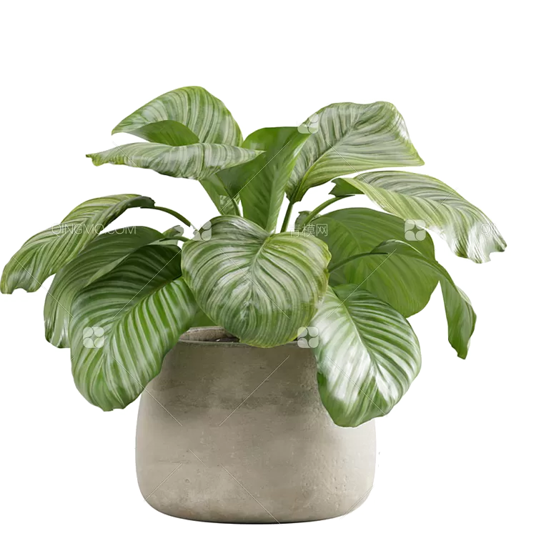 TREE – PLANTS – 3DS MAX MODELS – 271 – PRO