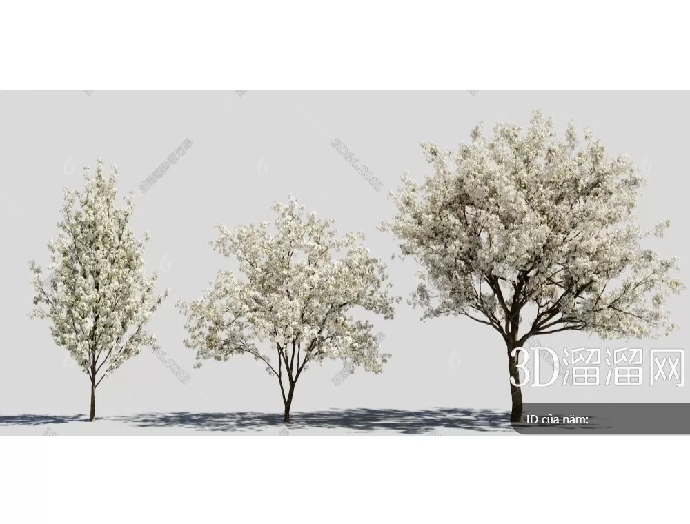 TREE – PLANTS – 3DS MAX MODELS – 282 – PRO