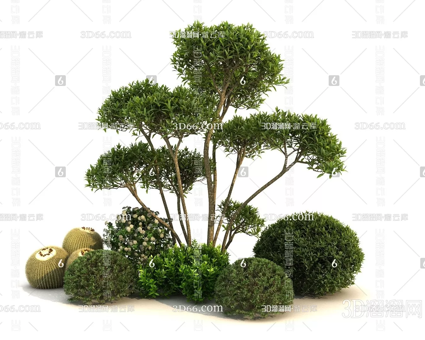 TREE – PLANTS – 3DS MAX MODELS – 284 – PRO