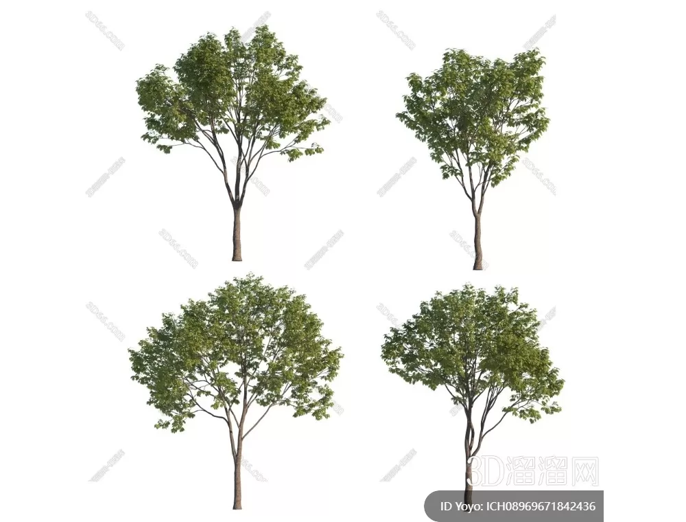 TREE – PLANTS – 3DS MAX MODELS – 296 – PRO