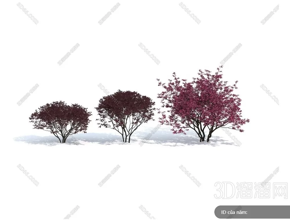 TREE – PLANTS – 3DS MAX MODELS – 301 – PRO