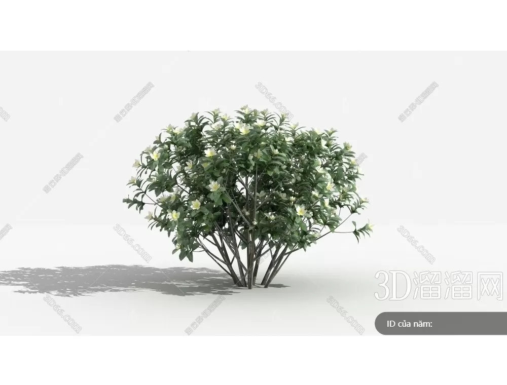 TREE – PLANTS – 3DS MAX MODELS – 308 – PRO