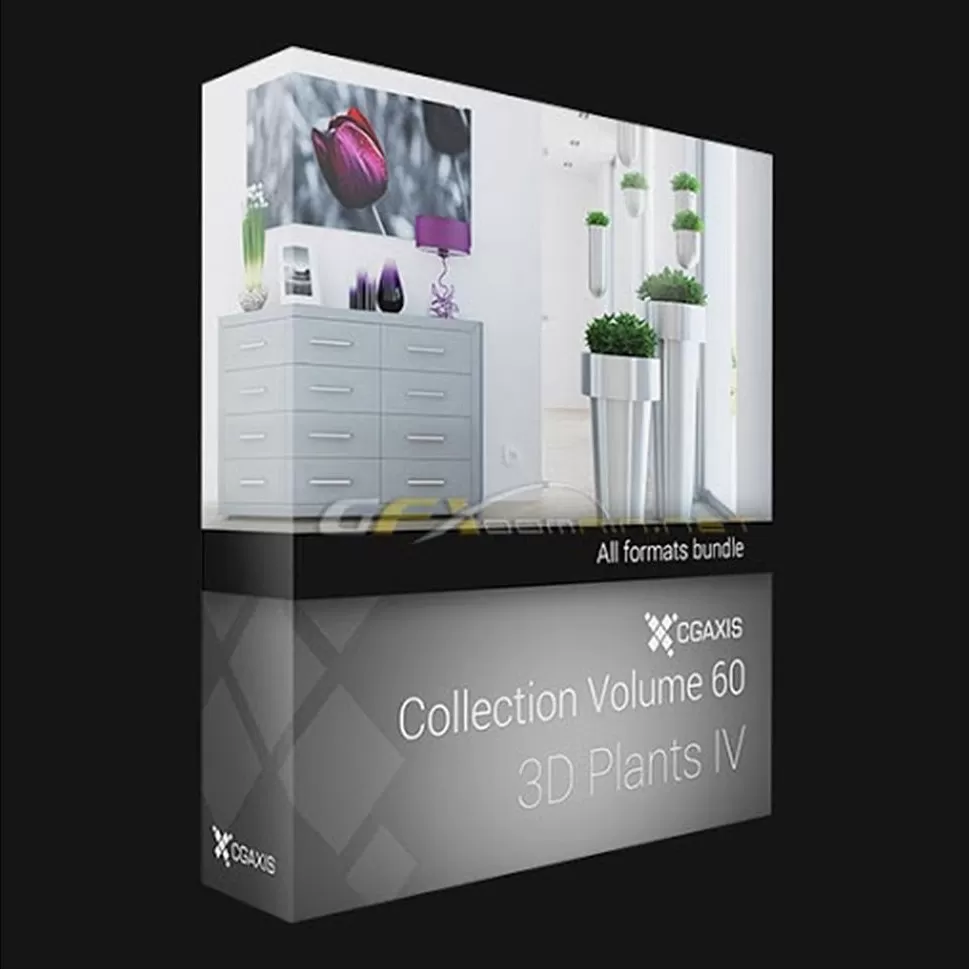 CGAxis Collections – CGAxis Models – Volume – 60 – Vray – PRO
