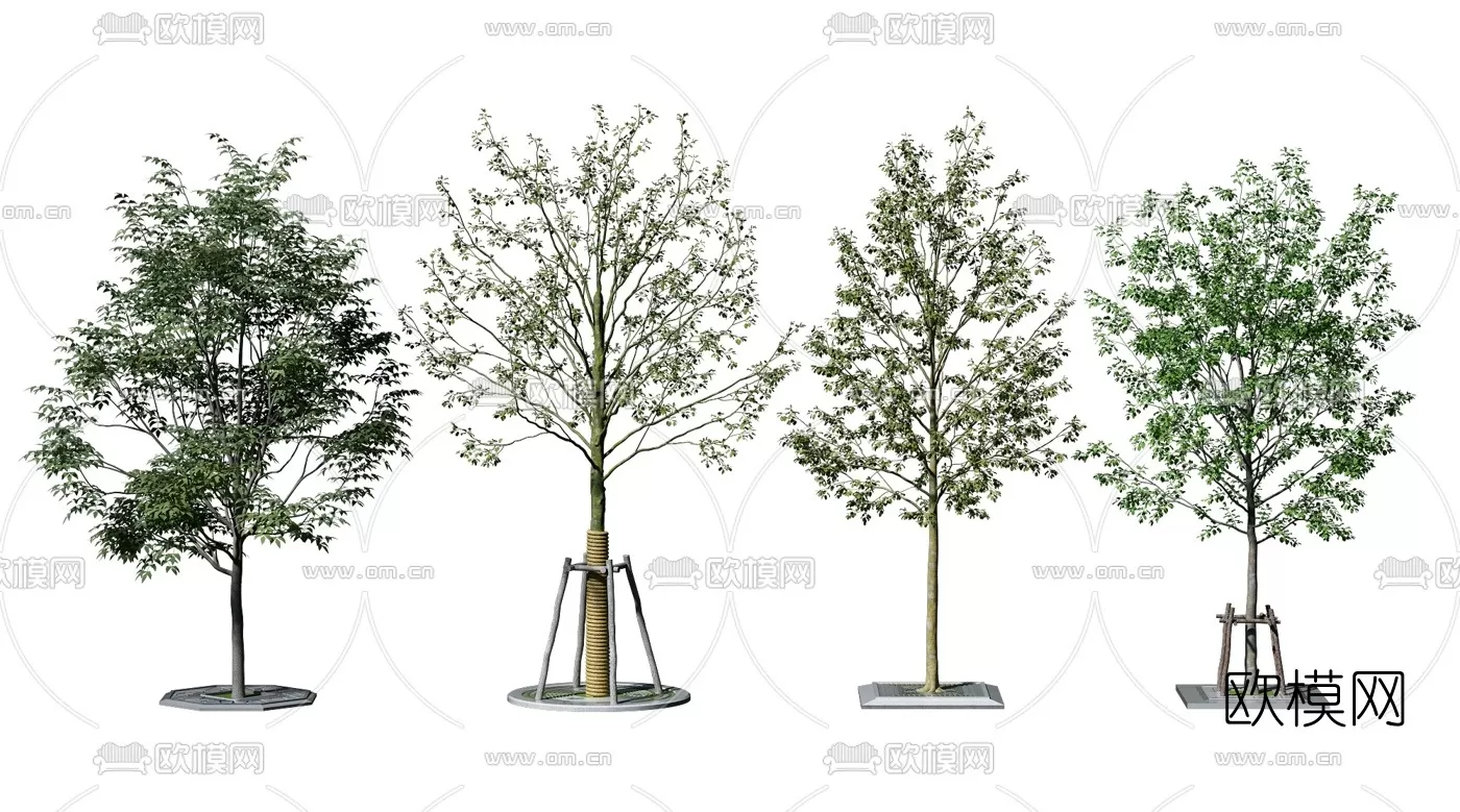 TREE – PLANTS – 3DS MAX MODELS – 006 – PRO