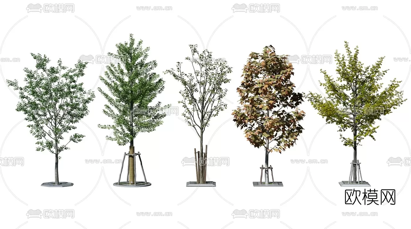 TREE – PLANTS – 3DS MAX MODELS – 007 – PRO