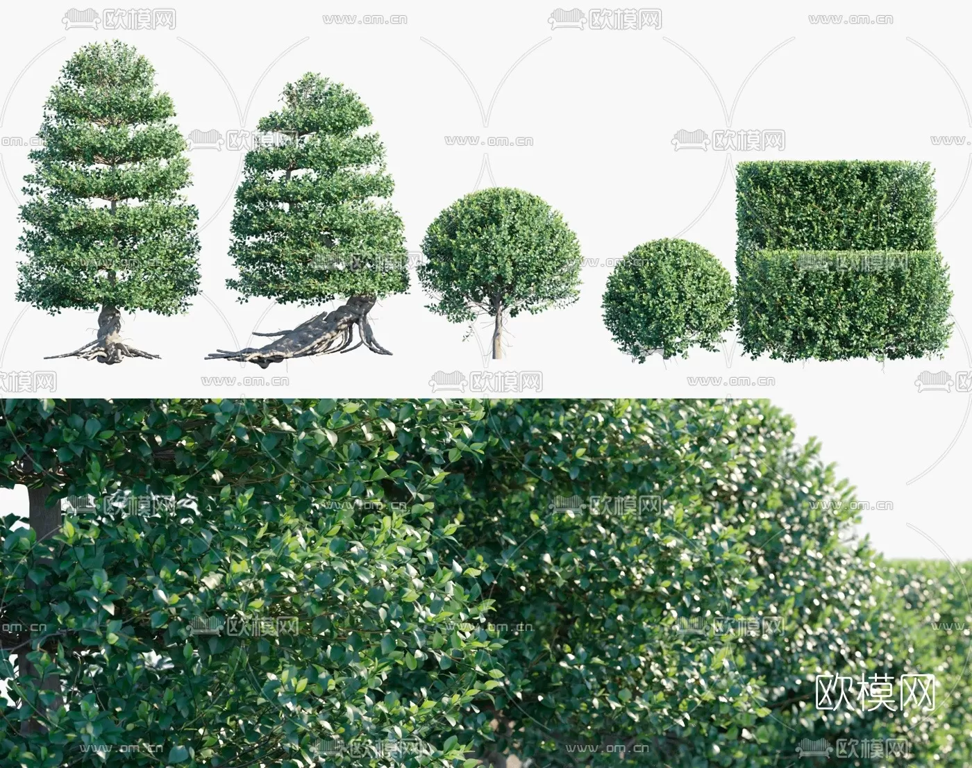 TREE – PLANTS – 3DS MAX MODELS – 008 – PRO