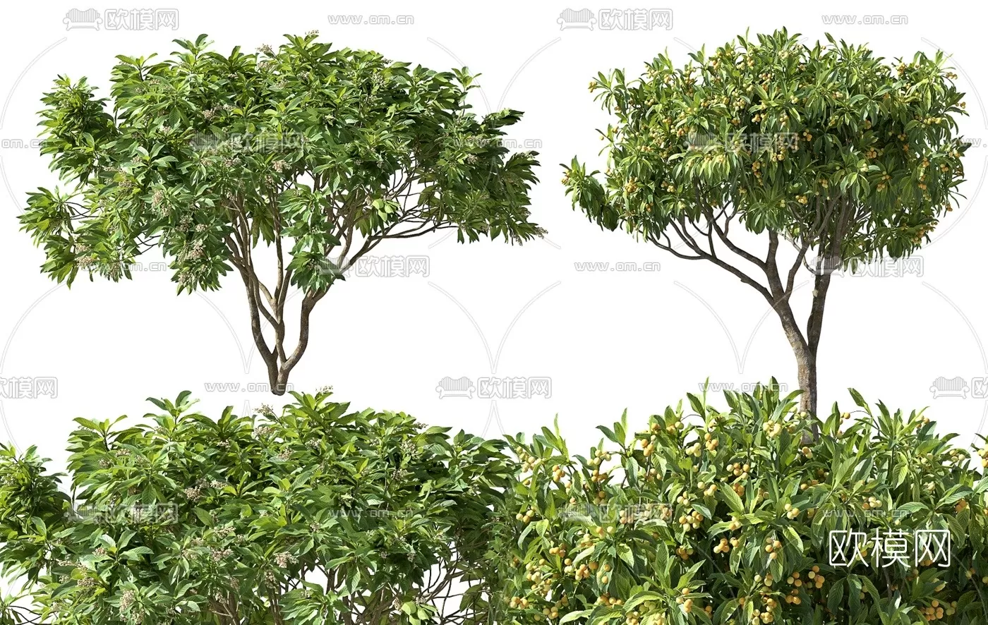 TREE – PLANTS – 3DS MAX MODELS – 015 – PRO