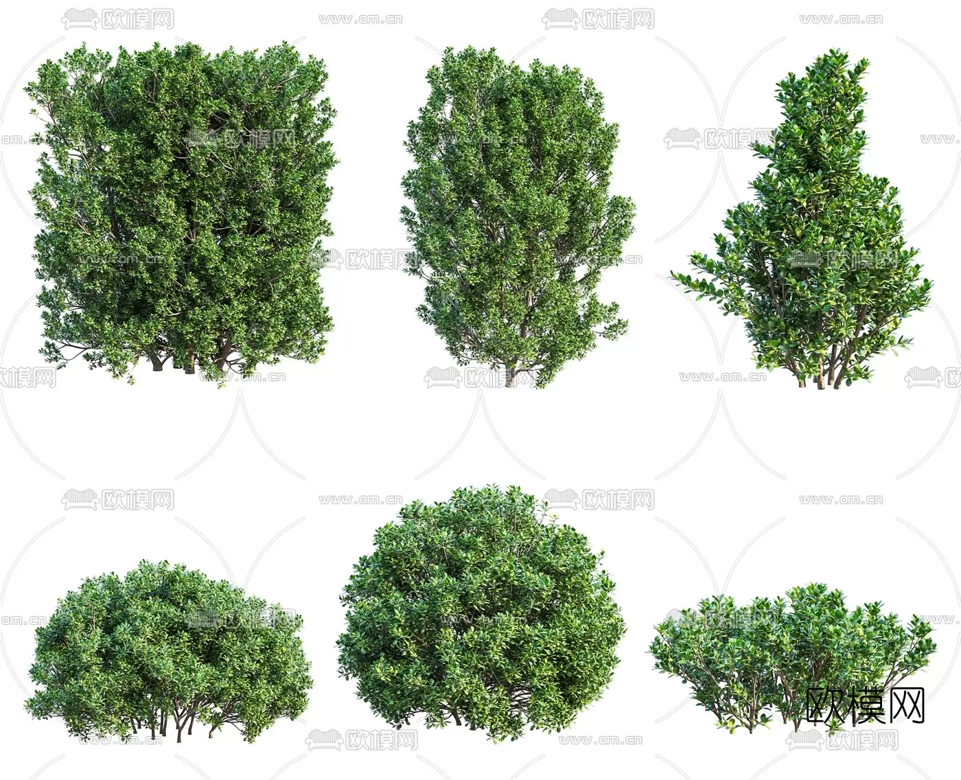 TREE – PLANTS – 3DS MAX MODELS – 022 – PRO