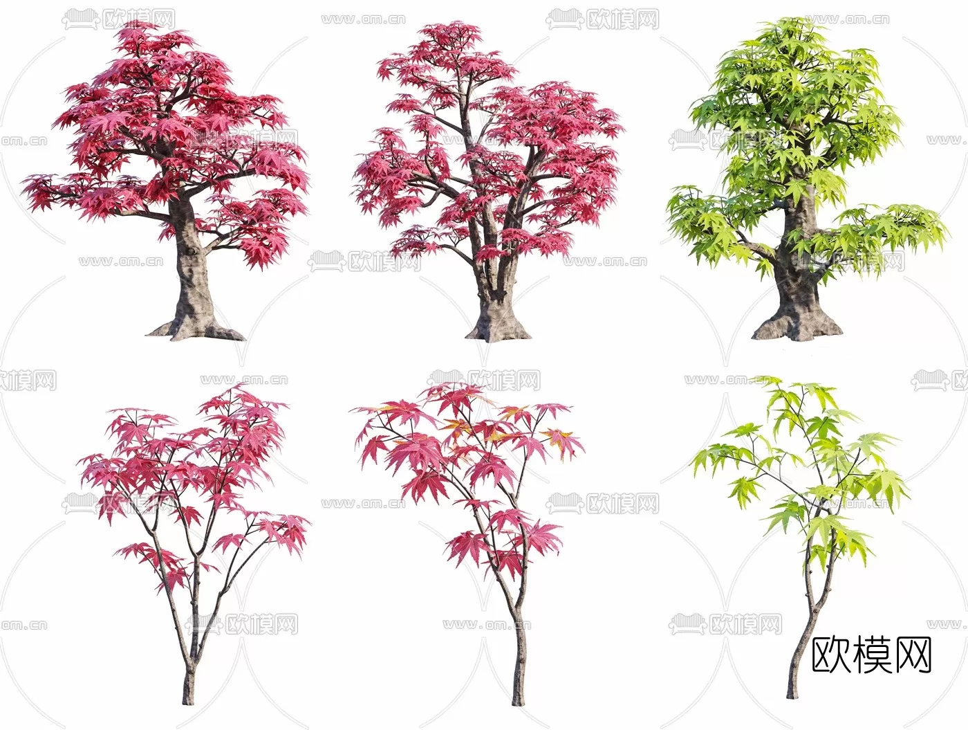 TREE – PLANTS – 3DS MAX MODELS – 028 – PRO