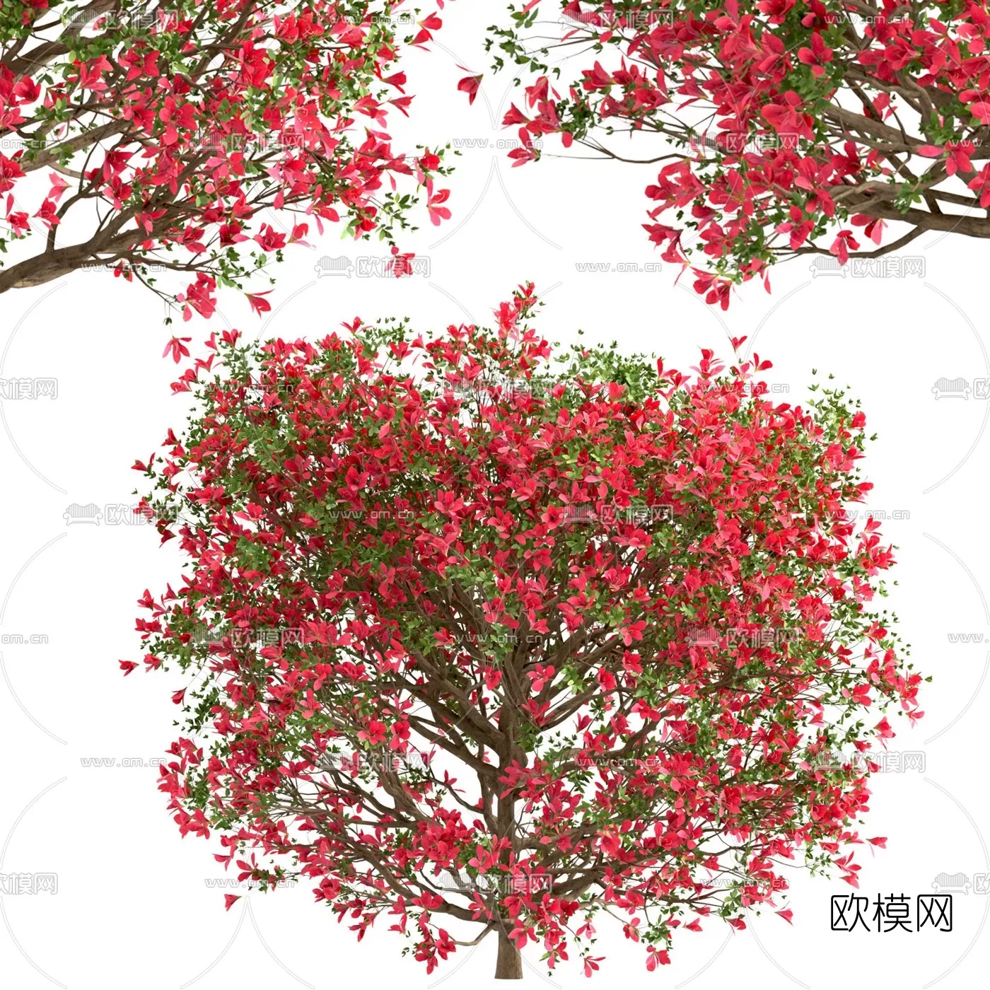 TREE – PLANTS – 3DS MAX MODELS – 029 – PRO