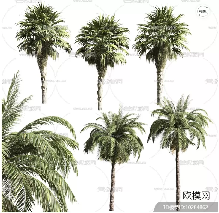 TREE – PLANTS – 3DS MAX MODELS – 031 – PRO