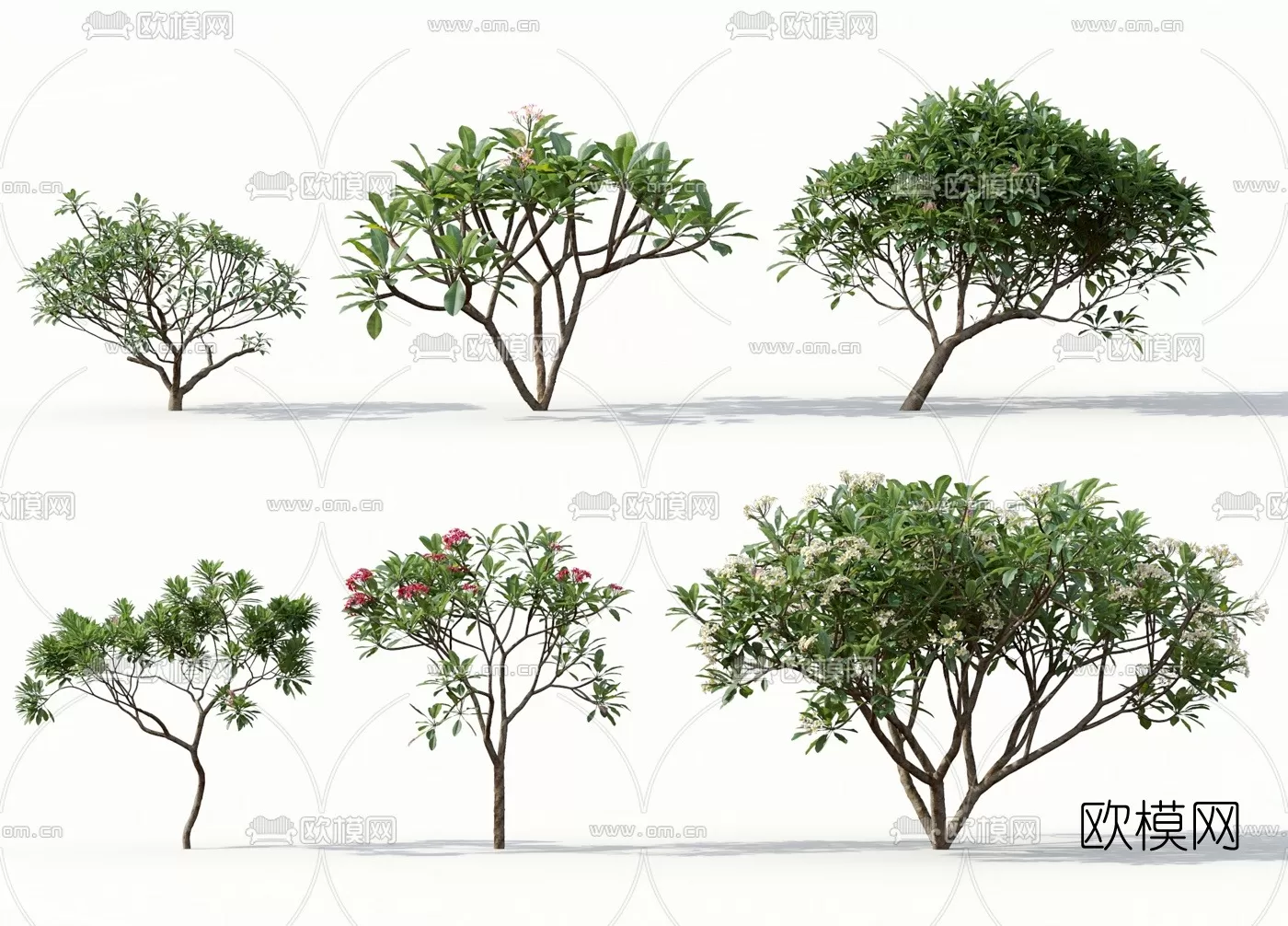 TREE – PLANTS – 3DS MAX MODELS – 033 – PRO