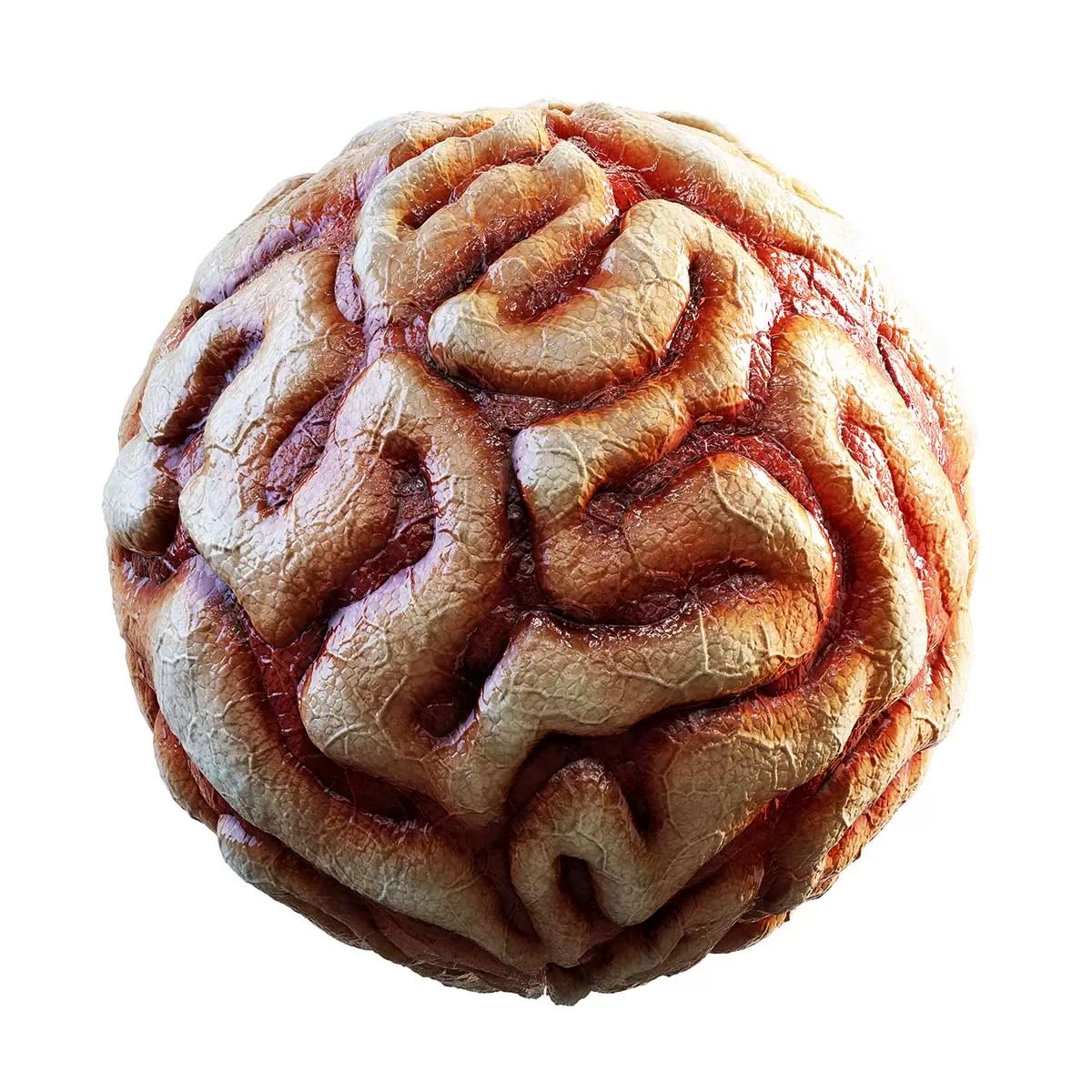 PBR Textures Volume 31 – Organic – 4K – 8K – bloody_guts_32_43 PBR Textures Volume 31 – Organic – 4K – 8K – bloody_guts_32_43