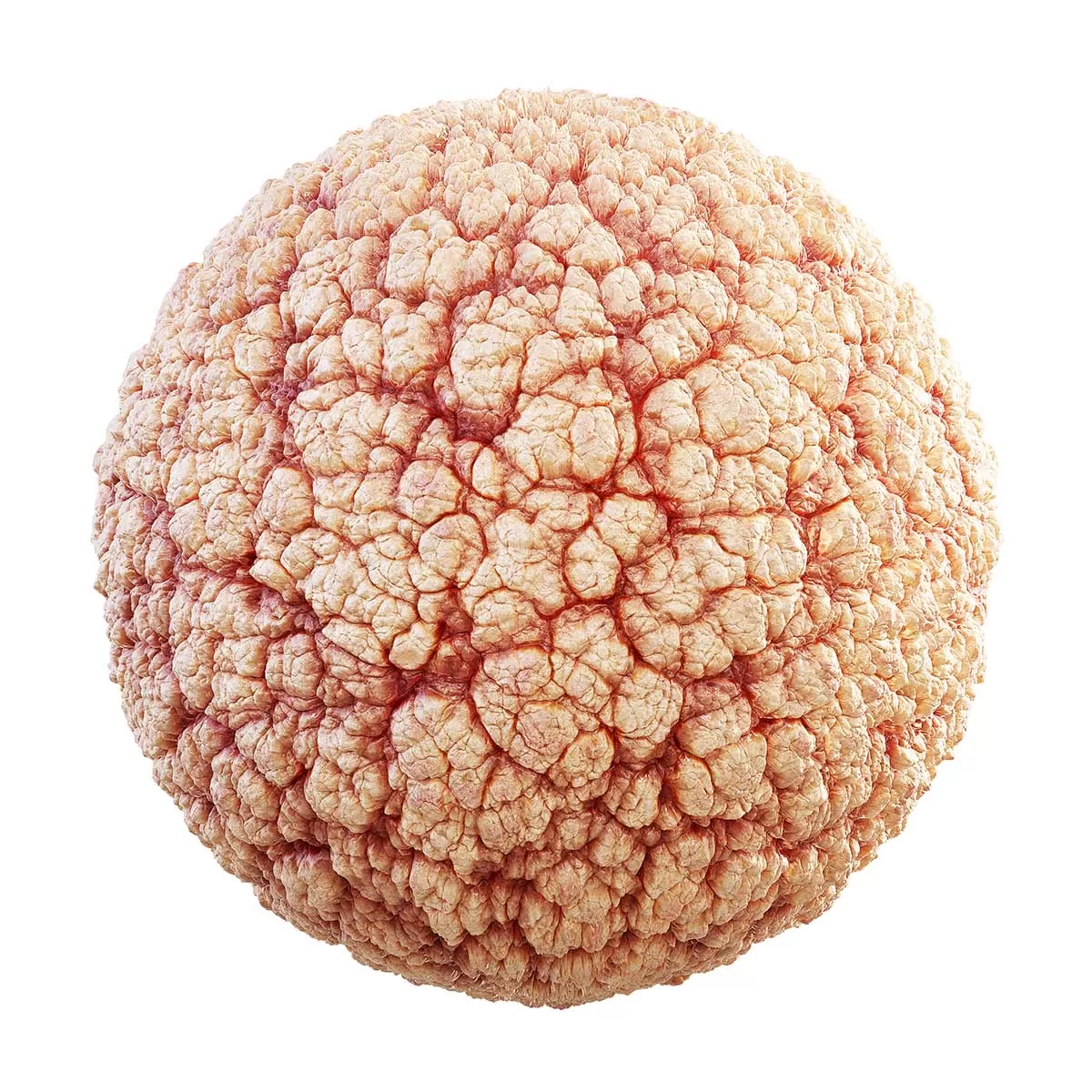 PBR Textures Volume 31 – Organic – 4K – 8K – brain_tissue_32_80 PBR Textures Volume 31 – Organic – 4K – 8K – brain_tissue_32_80