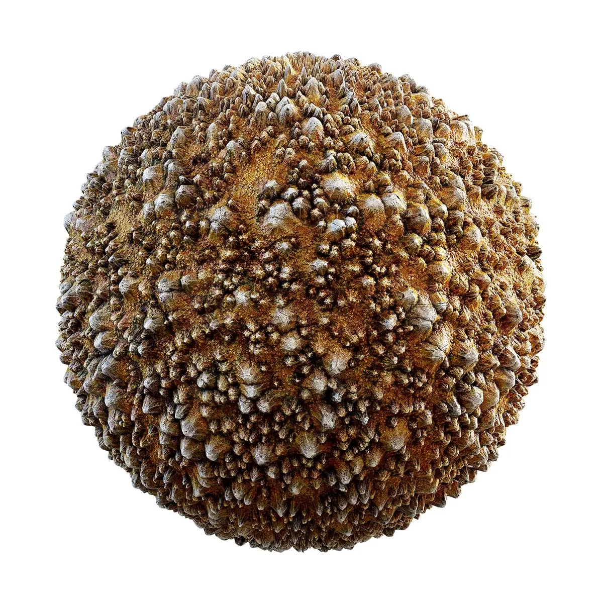 PBR Textures Volume 31 – Organic – 4K – 8K – brown_skin_growths_32_28 PBR Textures Volume 31 – Organic – 4K – 8K – brown_skin_growths_32_28