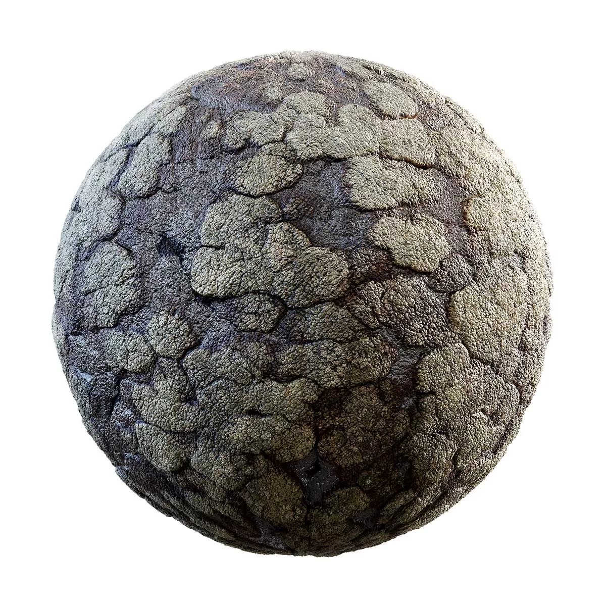 PBR Textures Volume 31 – Organic – 4K – 8K – cracked_green_creature_skin_32_74 PBR Textures Volume 31 – Organic – 4K – 8K – cracked_green_creature_skin_32_74