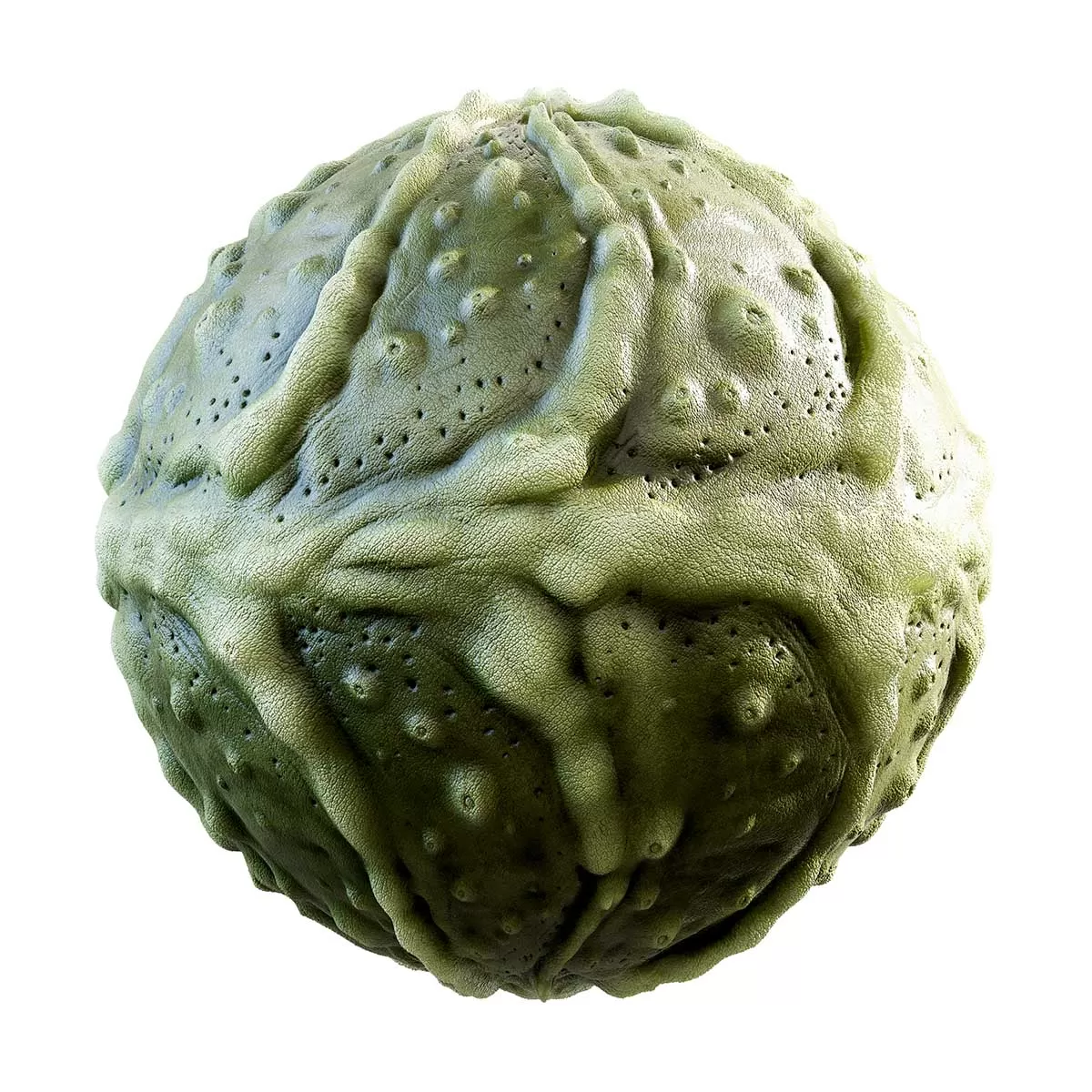 PBR Textures Volume 31 – Organic – 4K – 8K – green_creature_skin_32_10 PBR Textures Volume 31 – Organic – 4K – 8K – green_creature_skin_32_10