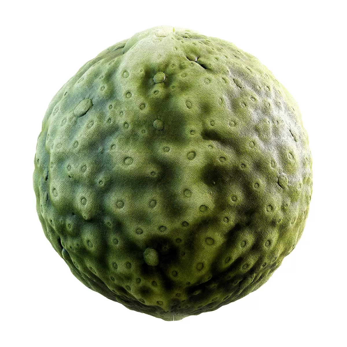 PBR Textures Volume 31 – Organic – 4K – 8K – green_creature_skin_32_11 PBR Textures Volume 31 – Organic – 4K – 8K – green_creature_skin_32_11