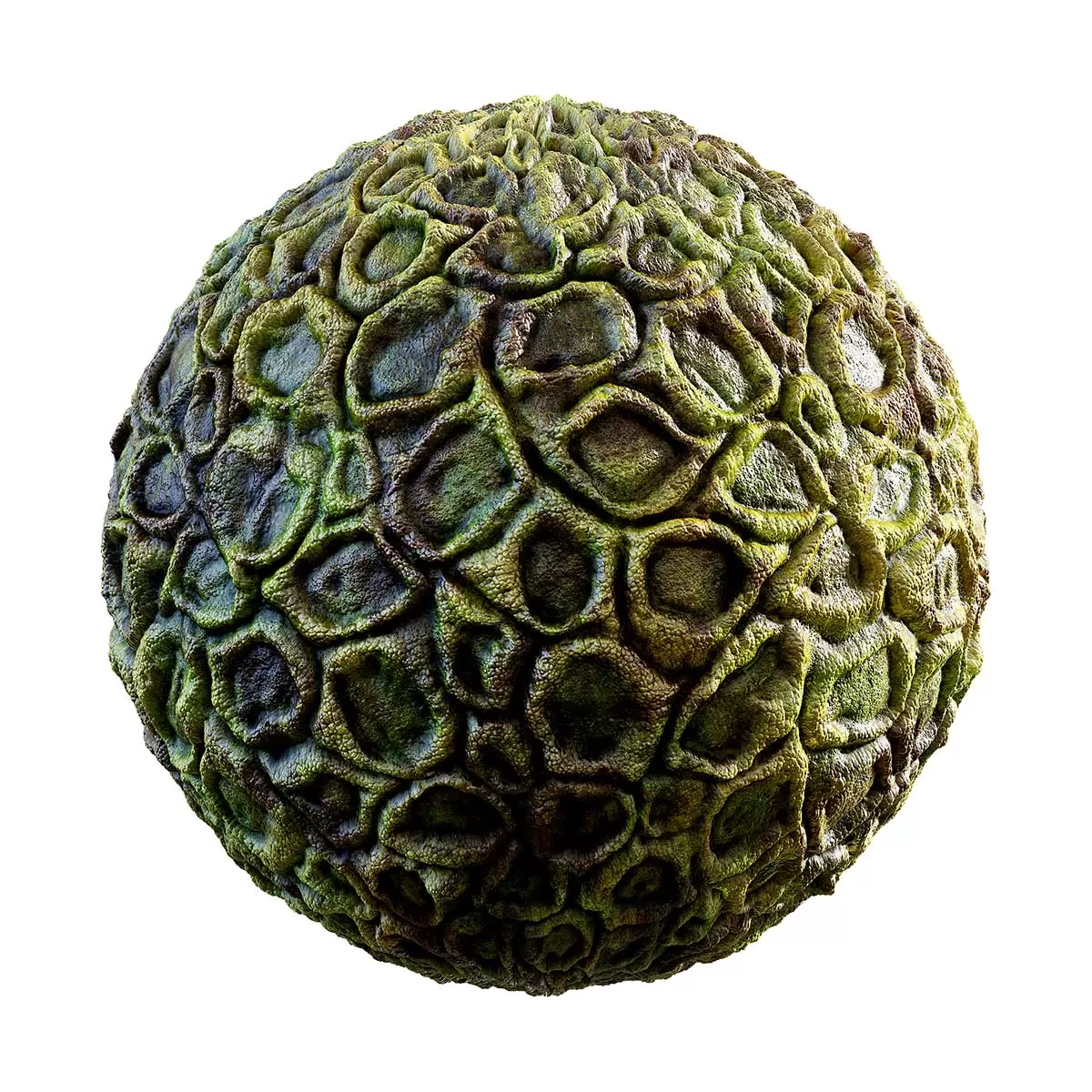 PBR Textures Volume 31 – Organic – 4K – 8K – green_creature_skin_32_19 PBR Textures Volume 31 – Organic – 4K – 8K – green_creature_skin_32_19