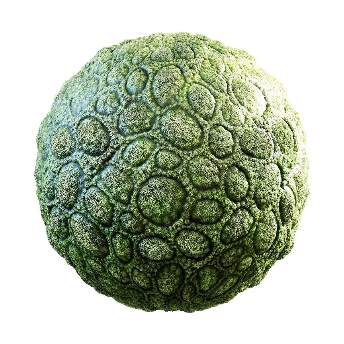 PBR Textures Volume 31 – Organic – 4K – 8K – green_creature_skin_32_23 PBR Textures Volume 31 – Organic – 4K – 8K – green_creature_skin_32_23