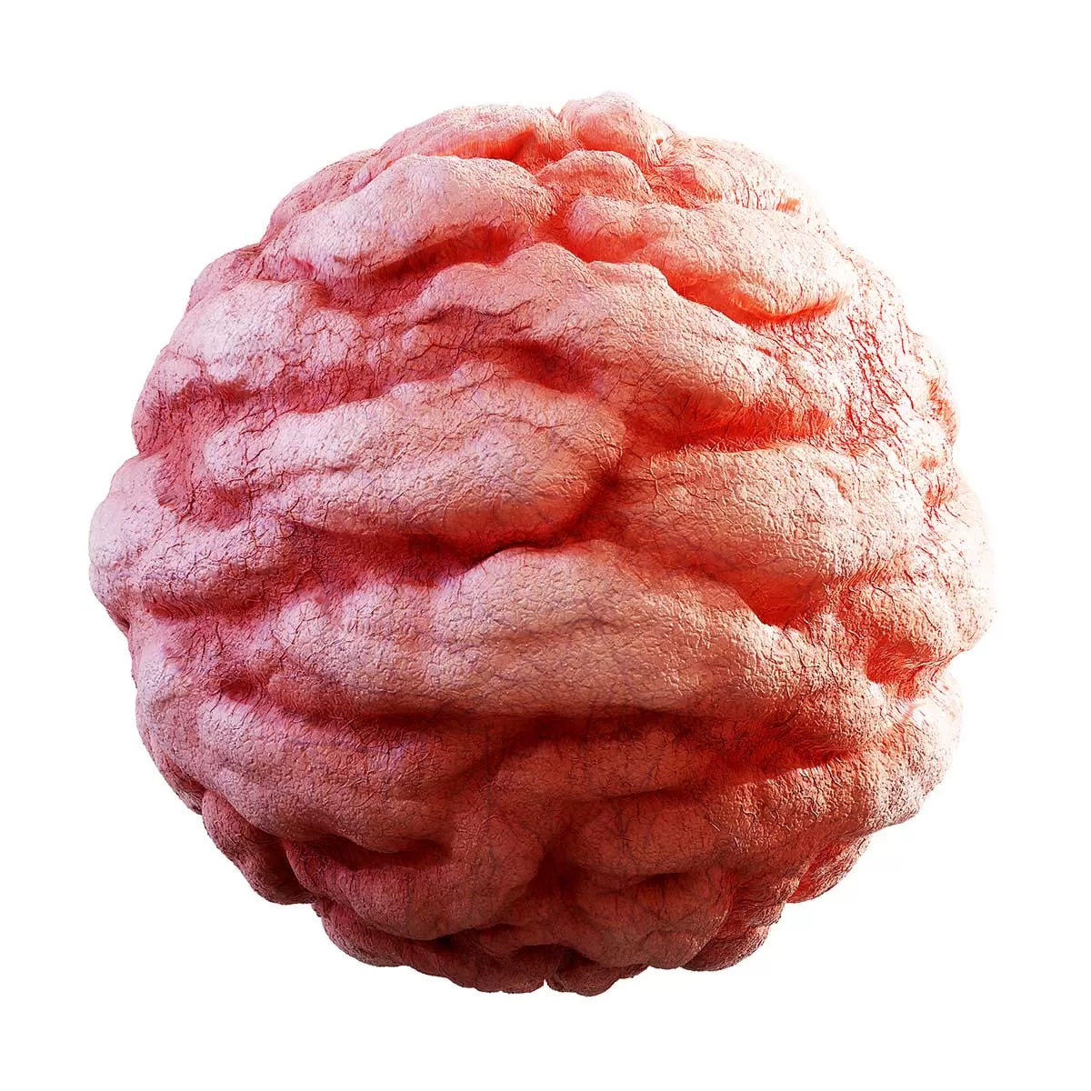 CGAxis PBR 31 – Guts 32 17 CGAxis PBR 31 – Guts 32 17