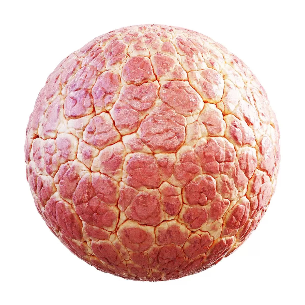 CGAxis PBR 31 – Meat 32 48 CGAxis PBR 31 – Meat 32 48