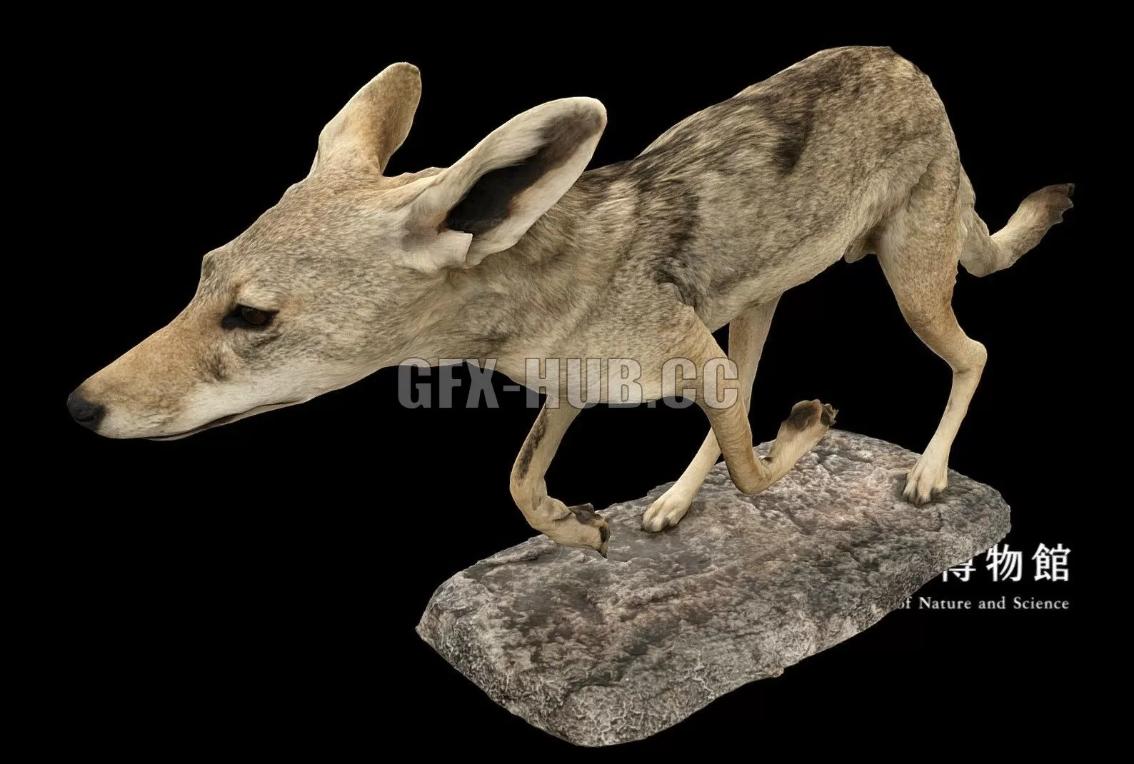 3D MODELS FREE DOWNLOAD