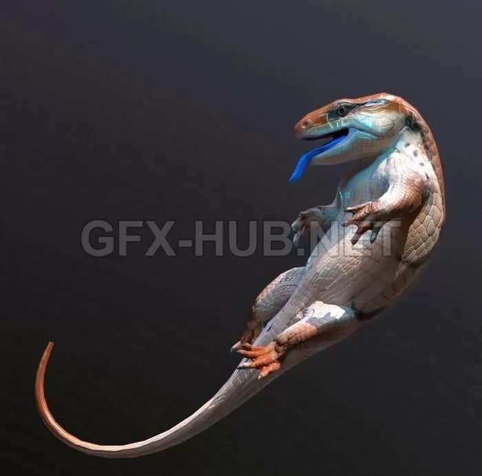 PBR Game 3D Model – Blue Tongued Skink