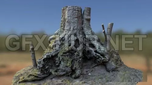 PBR Game 3D Model – Chestnut tree (obj, tex)