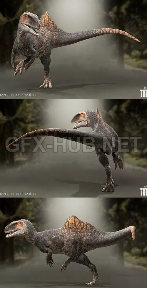 PBR Game 3D Model – Concavenator corcovatus