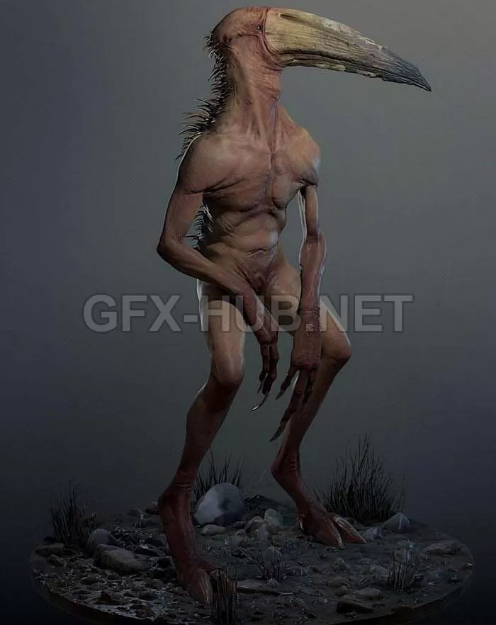 PBR Game 3D Model – Coracos