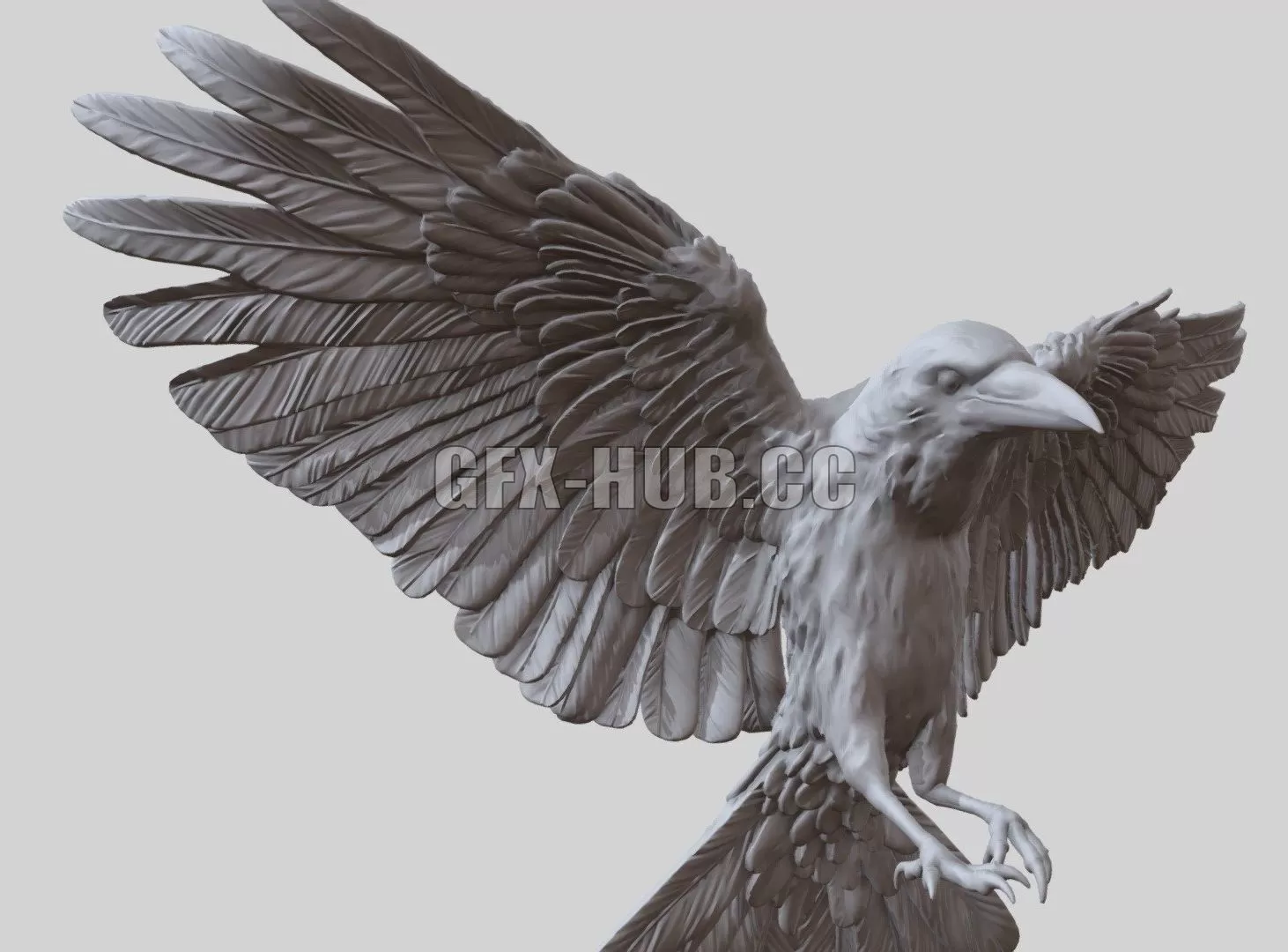 PBR Game 3D Model – CROW