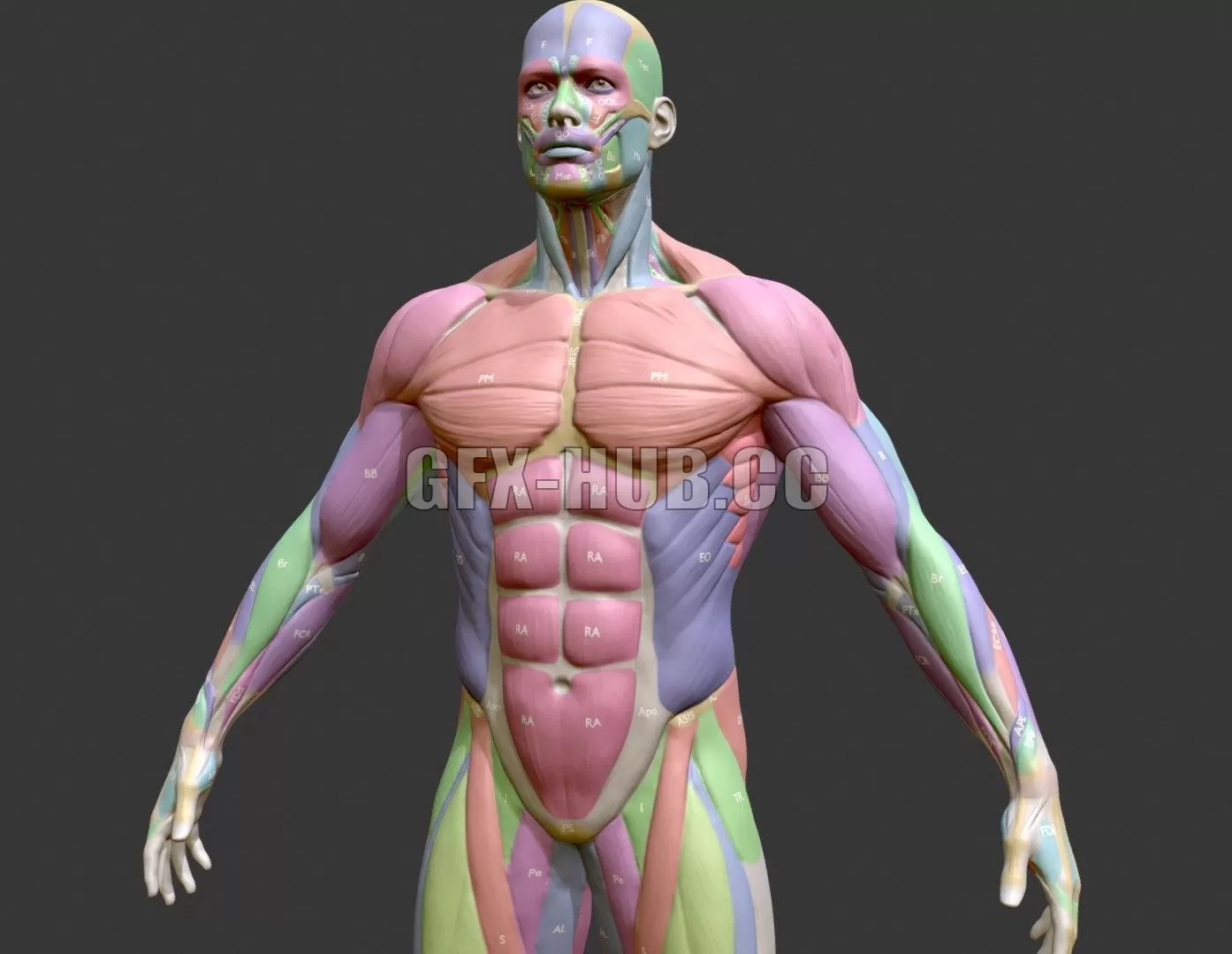 3D MODELS FREE DOWNLOAD