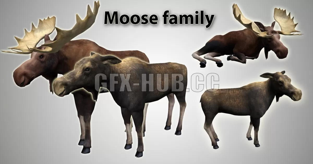 PBR Game 3D Model – FOREST ANIMALS short version (21 animals)