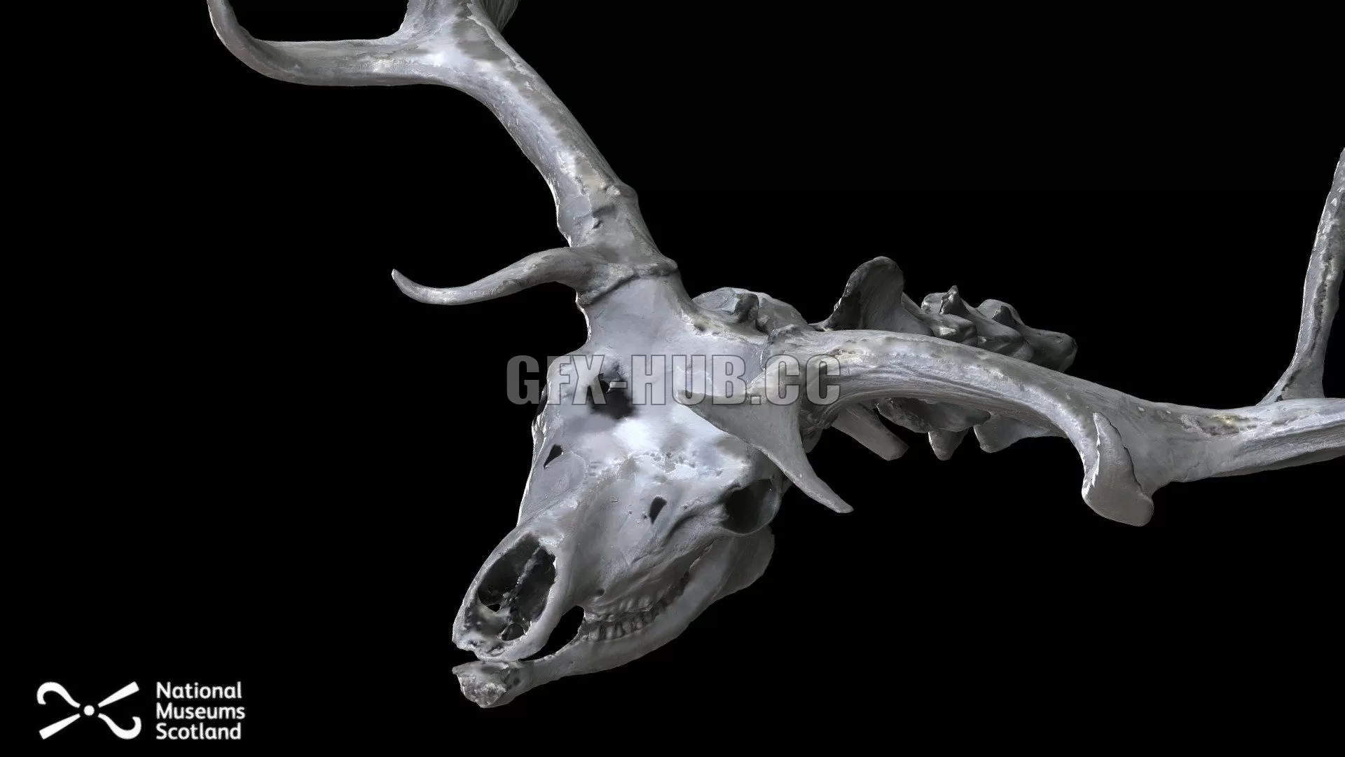 PBR Game 3D Model – Giant deer