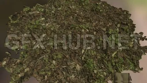 PBR Game 3D Model – Leafy ground (obj)