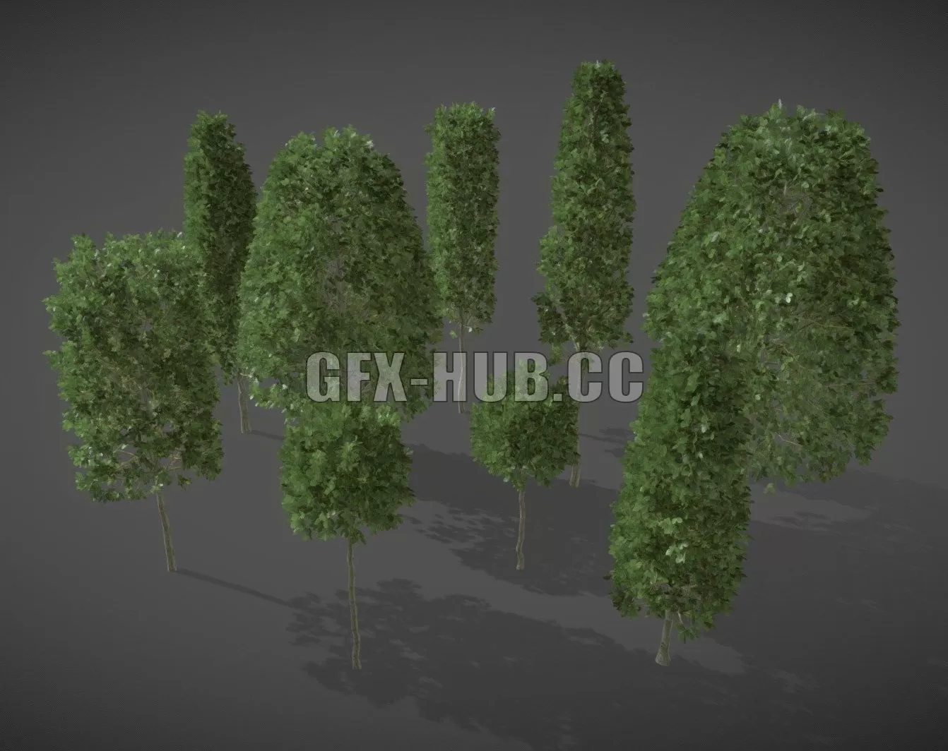 PBR Game 3D Model – LS06 Carpinus Betulus (European Hornbeam)