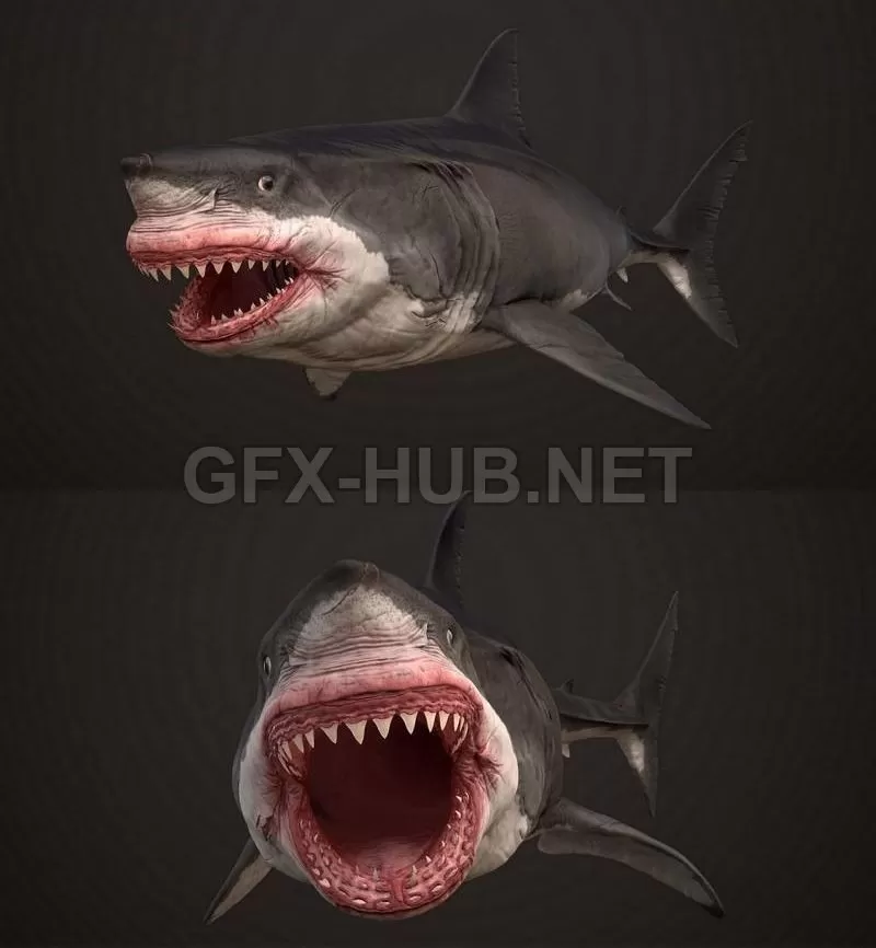 3D MODELS FREE DOWNLOAD