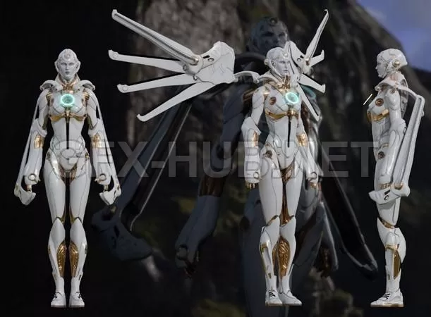 PBR Game 3D Model – Muriel – Paragon