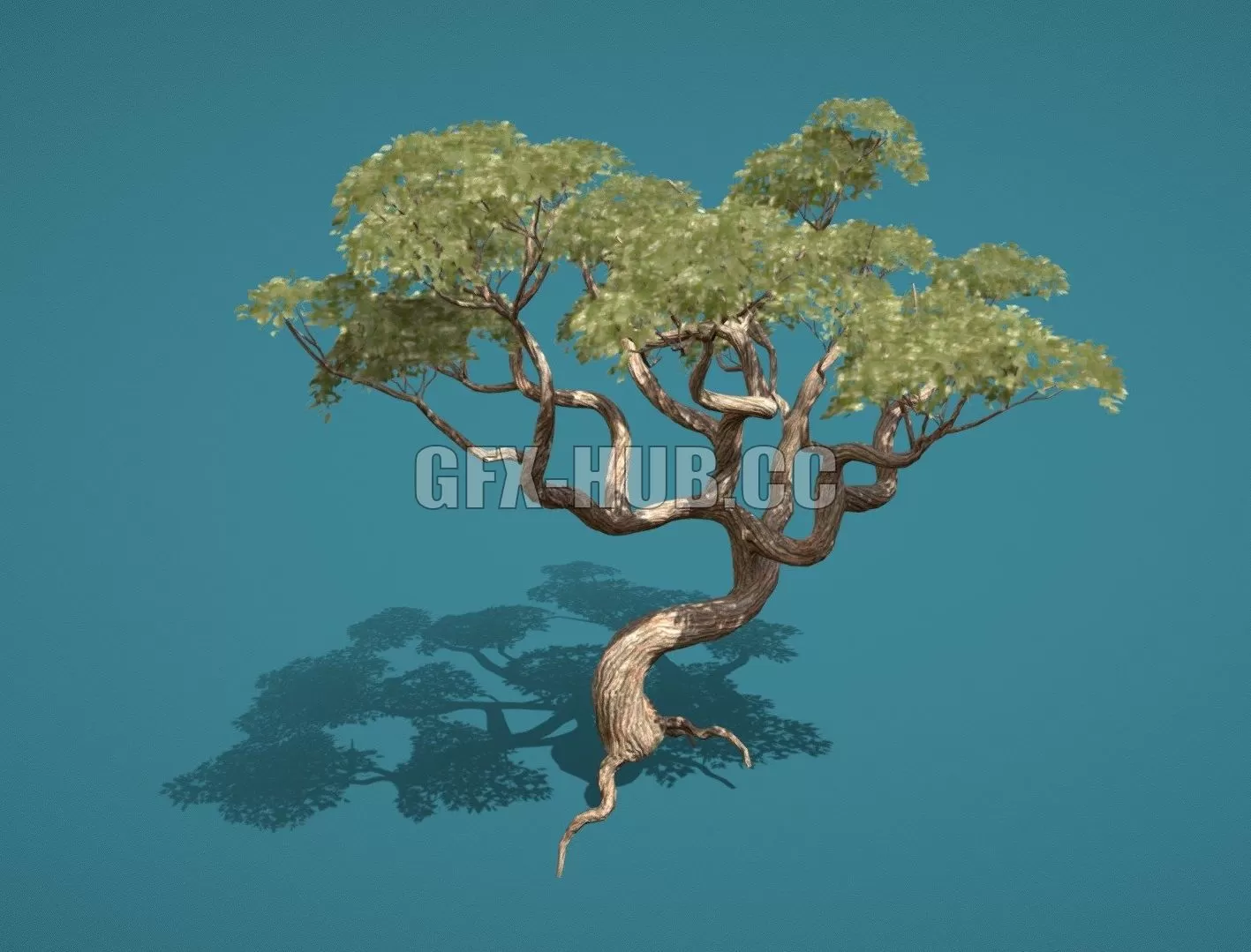 PBR Game 3D Model – Old Tree