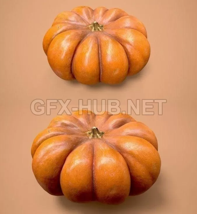 PBR Game 3D Model – Pumpkin photoscan
