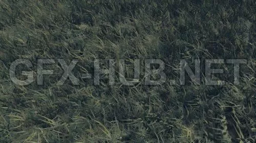 PBR Game 3D Model – Realtime Grass