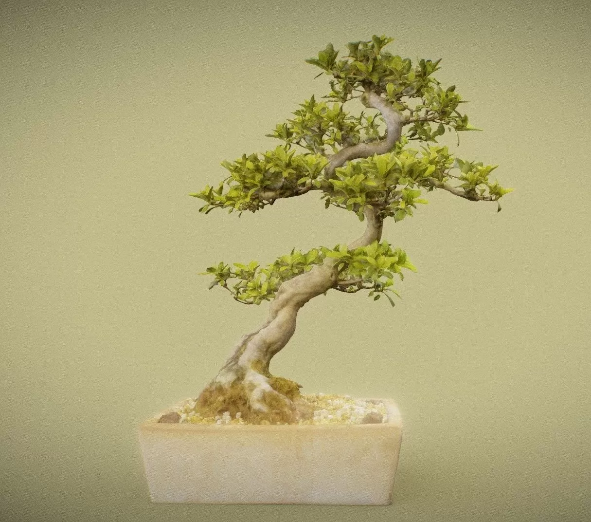 PBR Game 3D Model – Satsuki Hanazono