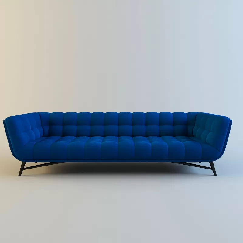 SOFA – Roche bobois Profile