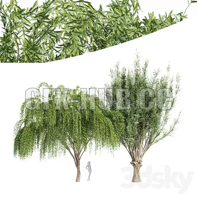 FURNITURE 3D MODELS – 2Tree Pollard Willow Weeping Willow FURNITURE 3D MODELS – 2Tree Pollard Willow Weeping Willow