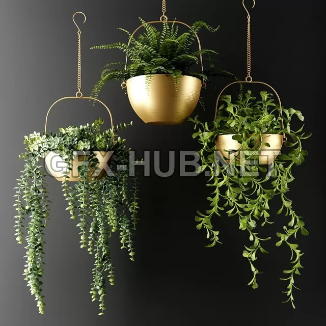 FURNITURE 3D MODELS – Ampel plants in bronze flower pots FURNITURE 3D MODELS – Ampel plants in bronze flower pots