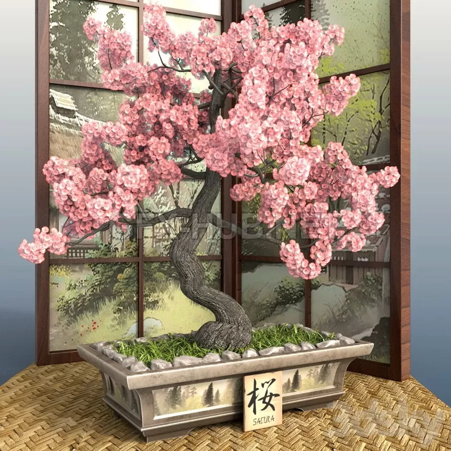 FURNITURE 3D MODELS – Bonsai 1 Sakura FURNITURE 3D MODELS – Bonsai 1 Sakura