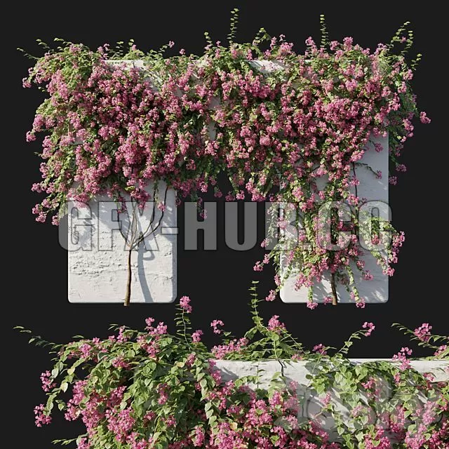 FURNITURE 3D MODELS – Bougainvillea 02 FURNITURE 3D MODELS – Bougainvillea 02