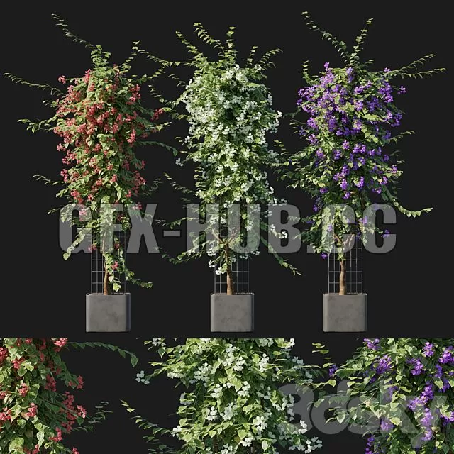 FURNITURE 3D MODELS – Bougainvillea 09 FURNITURE 3D MODELS – Bougainvillea 09