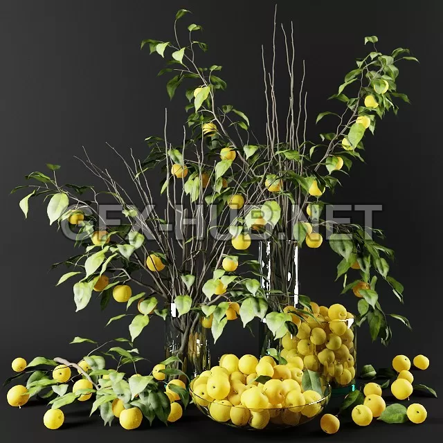 FURNITURE 3D MODELS – Bouquet of Chinese apple tree branches with yellow apples FURNITURE 3D MODELS – Bouquet of Chinese apple tree branches with yellow apples